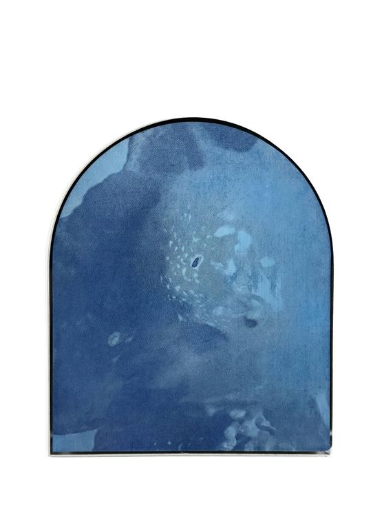 To Blossom Blue-50 by Chen Xiaoyi contemporary artwork Design