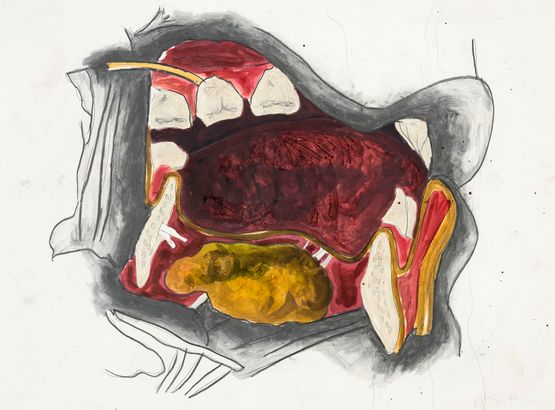 Teeth Drawing 1 by Kiki Smith contemporary artwork Works on Paper