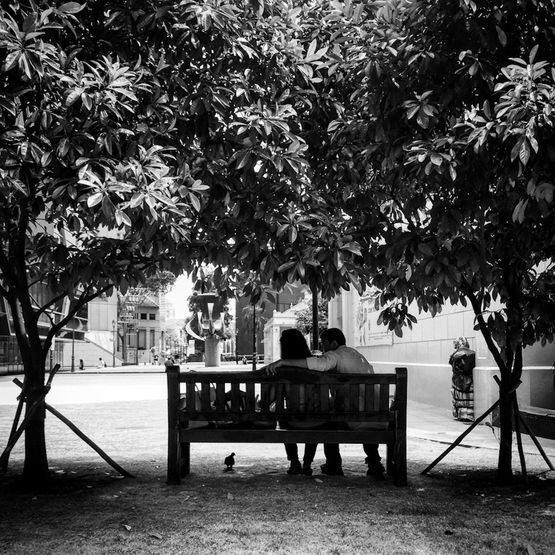 Unfoldable by Arron Teo contemporary artwork Moving Image