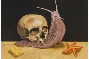 Karen Black, 'Alternative Frequency' at Ames Yavuz, Sydney