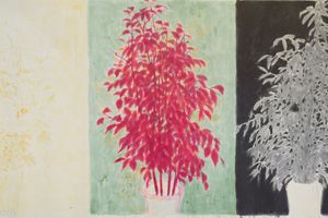 Wu Yiming