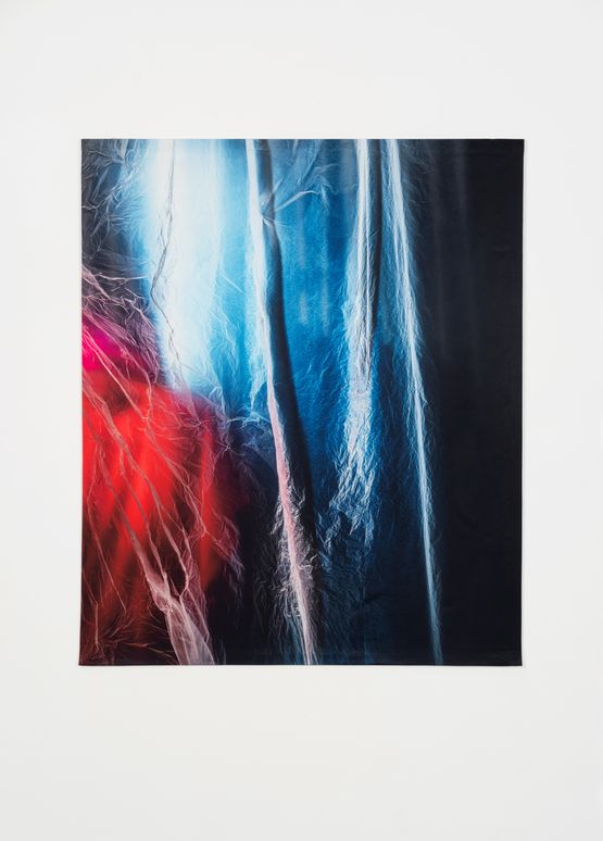 Untitled 3242 by Elisa Sighicelli contemporary artwork Photography