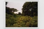 Joel Sternfeld contemporary artist