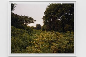 Joel Sternfeld contemporary artist