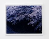 Nakameguro Tokyo by Chikashi Suzuki contemporary artwork photography print