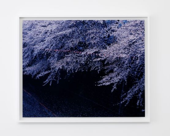 Nakameguro Tokyo by Chikashi Suzuki contemporary artwork Photography