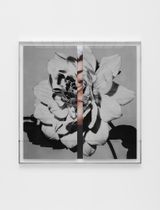 Hollywood Dahlia by Kathryn Andrews contemporary artwork mixed media