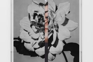 Kathryn Andrews