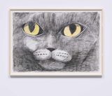Sam by Matthew Chambers contemporary artwork drawing works on paper