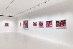 Jenny Saville