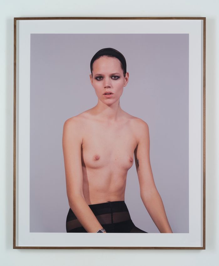 COLLIER SCHORR