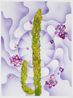 The Gift by Francesca Gabbiani  Eddie Ruscha contemporary artwork Works on Paper