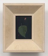 Leaf with Pin and Ladybug by Gertrude Abercrombie contemporary artwork painting works on paper