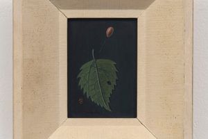 Gertrude Abercrombie