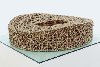 Weng Fen contemporary artist