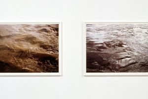 Roni Horn