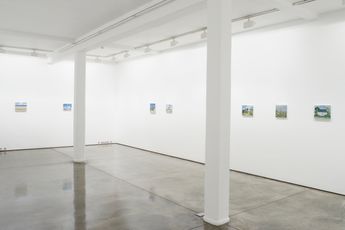 Contemporary art exhibition Maureen Gallace Solo Exhibition at Maureen Paley London United Kingdom