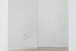 Kader Attia