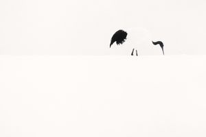 Michael Kenna