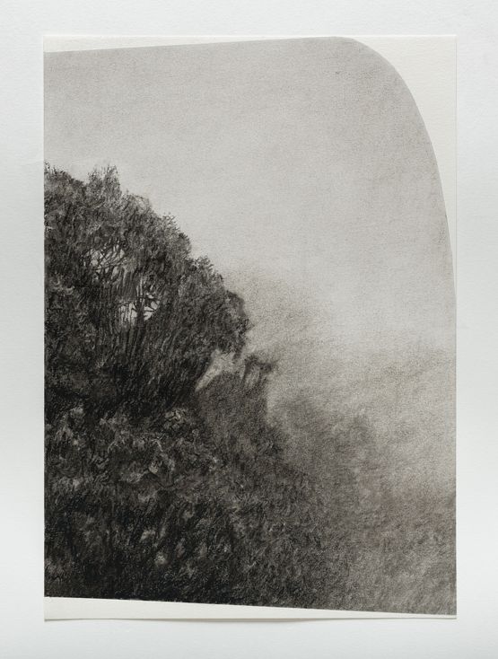 Horton plains 6 by Muhanned Cader contemporary artwork Works on Paper