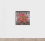 Future Herbarium by Laurent Grasso contemporary artwork painting