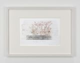 Avvolgere la terra by Giuseppe Penone contemporary artwork works on paper