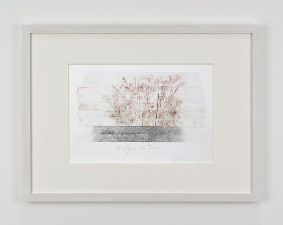 Avvolgere la terra by Giuseppe Penone contemporary artwork Works on Paper