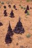 Feld from the Ubergang series by Grit Schwerdtfeger contemporary artwork Photography
