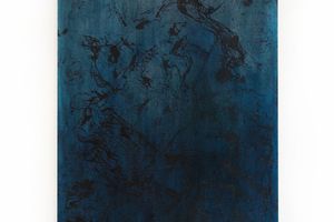 Amy Hui Li