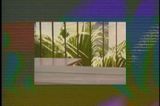 cell-a-scape by LoVid contemporary artwork moving image