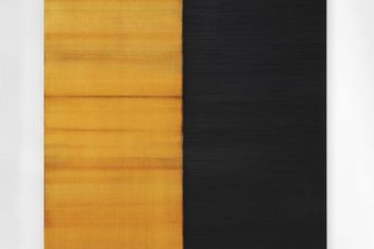 Callum Innes contemporary artist
