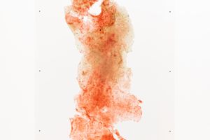 Amelia Toledo