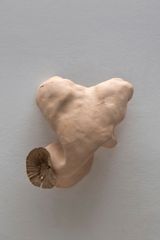 Studies for potential metamorphoses XXIV by Yasam Sasmazer contemporary artwork sculpture
