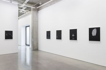 Contemporary art exhibition Sarah Jones Hall of Mirrors at Maureen Paley London United Kingdom