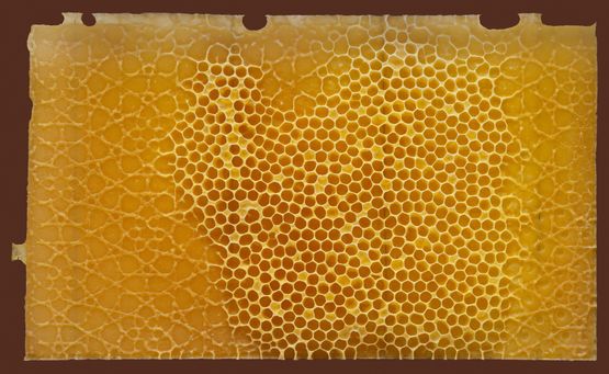 Midada da structura - Bienenwabe 08 recto 2 by Mirko Baselgia contemporary artwork Mixed Media