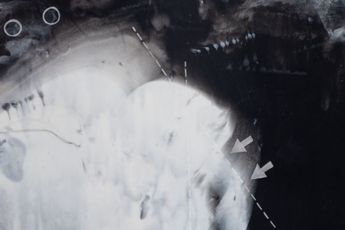 Sean Shim-Boyle contemporary artist