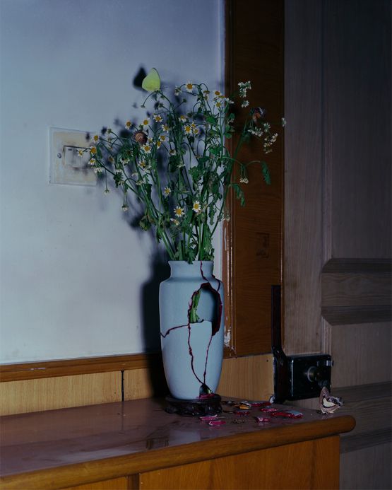 The Broken Vase China by Bowei Yang contemporary artwork Photography