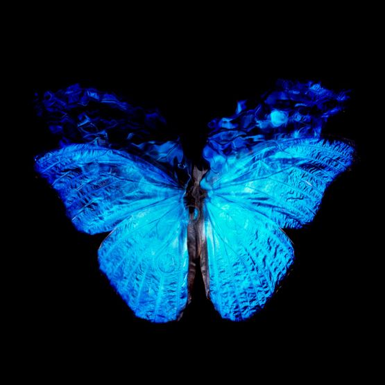 Transparency of a Dream 0813-23 by Alexander James Hamilton contemporary artwork Painting