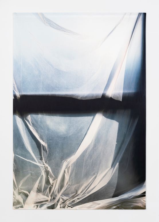 Untitled 1138 by Elisa Sighicelli contemporary artwork Photography