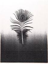 Untitled peacock feather by Pati Hill contemporary artwork print