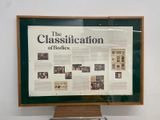 The Classification of Bodies by Justin Loke contemporary artwork print works on paper