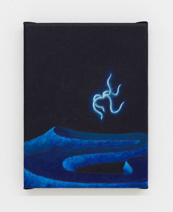 Squid by Mevlana Lipp contemporary artwork Painting