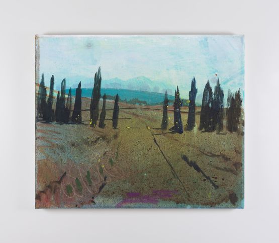 I searched for form and land by Elizabeth Magill contemporary artwork Painting