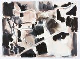 Cage Syria map variations by Fiona Hall contemporary artwork works on paper