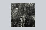 Walking in the Mountains - August by Takeshi Honda contemporary artwork drawing works on paper