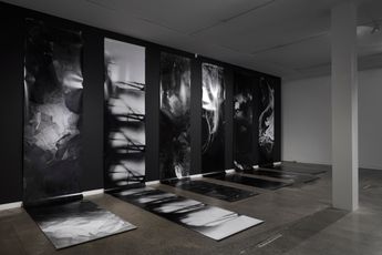 Contemporary art exhibition Joyce Campbell As it falls at Two Rooms Auckland New Zealand