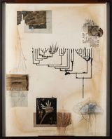 Hexalemma Earthling Chant by Jitish Kallat contemporary artwork works on paper