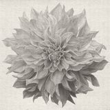 Flowery World by Lee Chun-Yi contemporary artwork works on paper