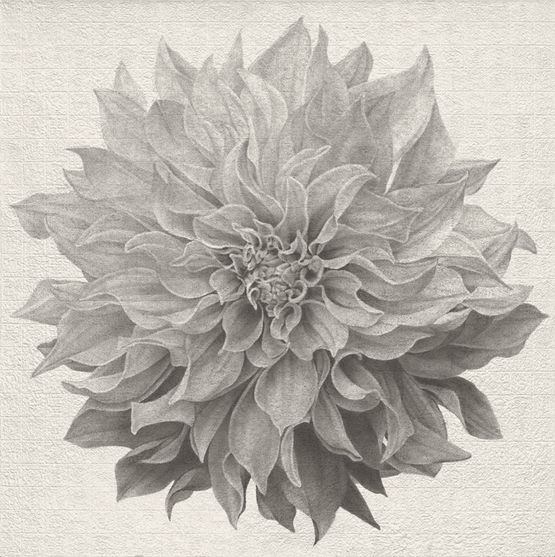 Flowery World by Lee Chun-Yi contemporary artwork Works on Paper