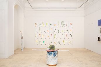 Contemporary art exhibition Lois Weinberger field work at Galerie Krinzinger Seilerstatte 16 Vienna Austria